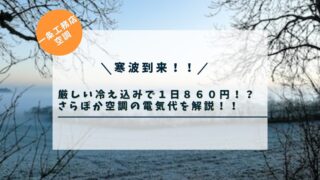 【一条工務店】寒波到来！！「さらぽか空調」の電気代は約８６０円！快適生活の全貌！